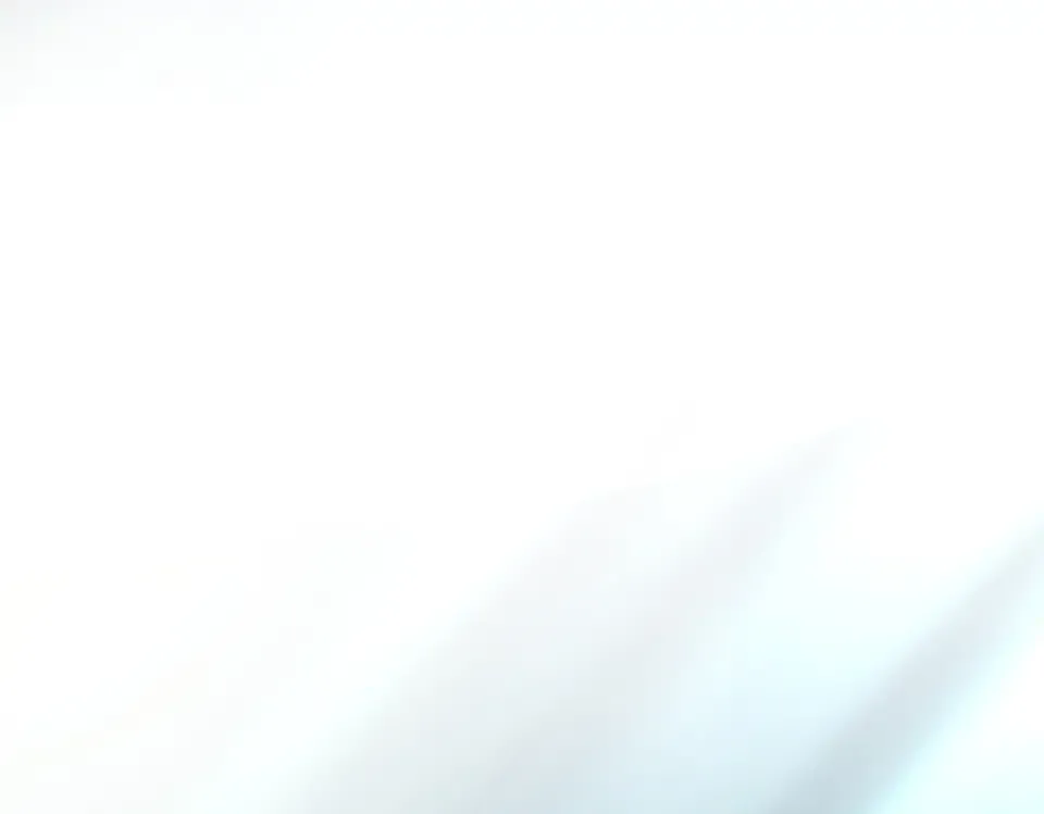 第513页