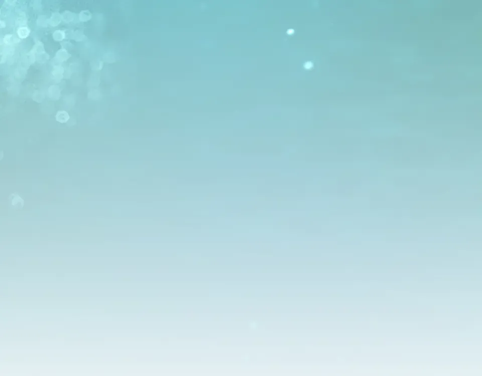 第480页