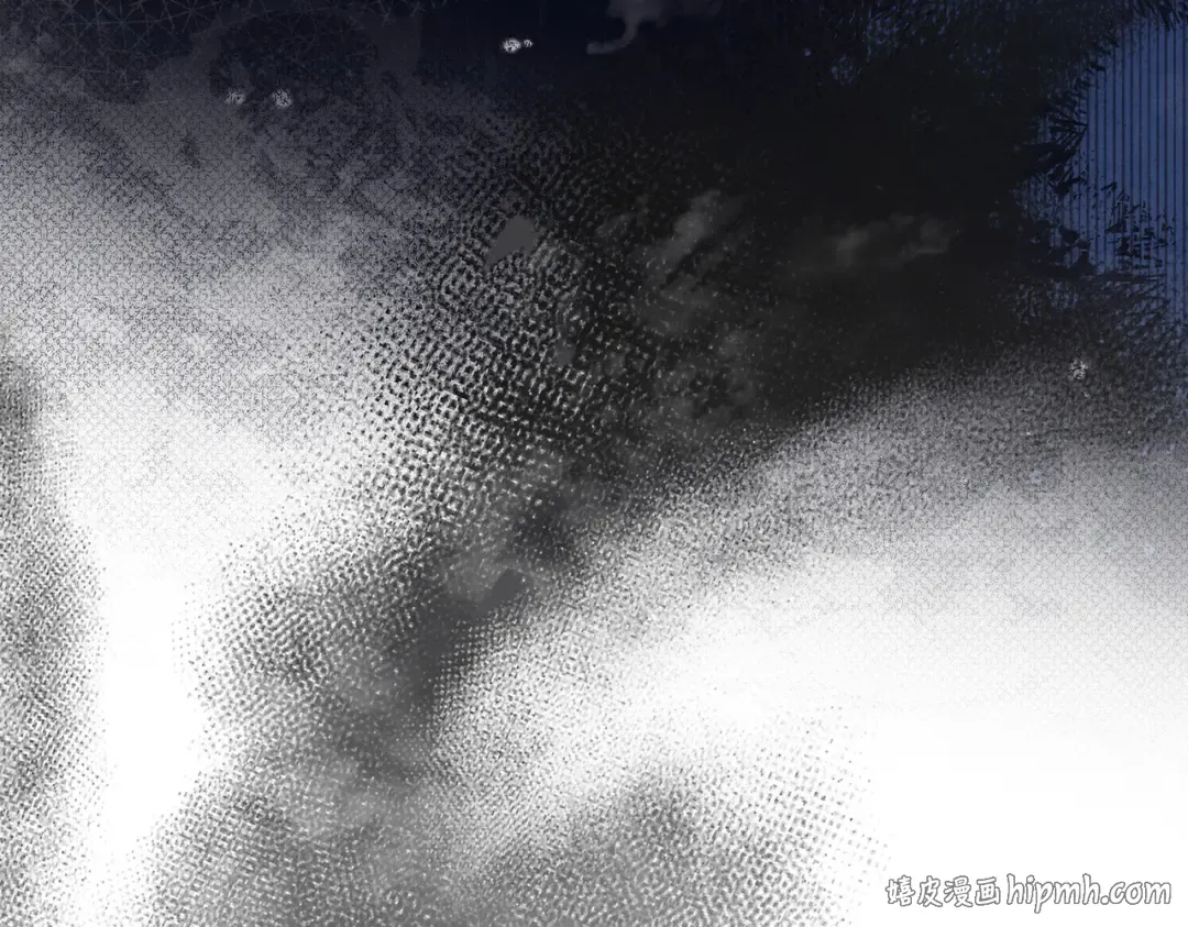 第213页