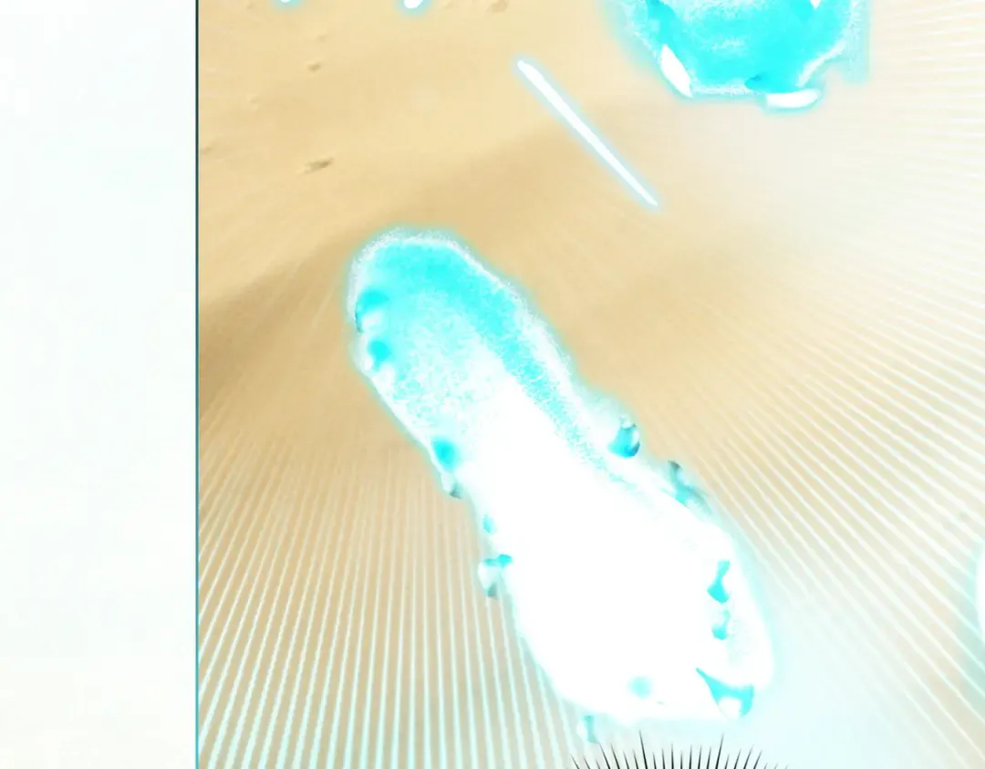 第411页