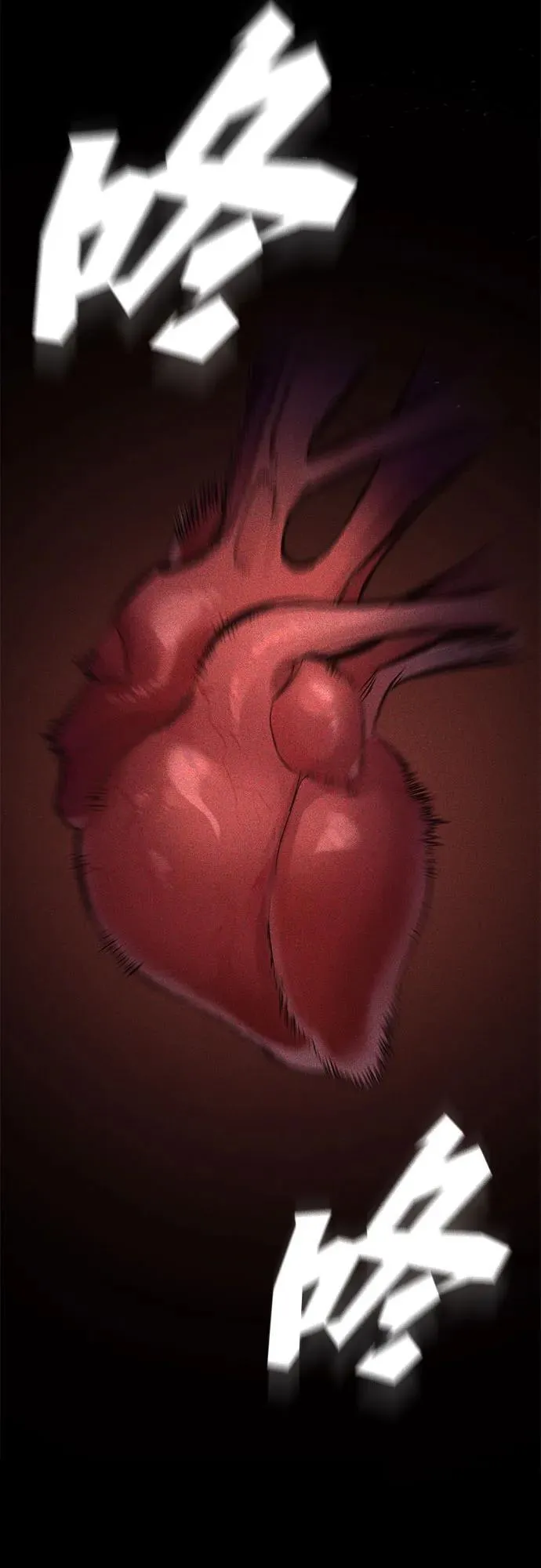 第495页