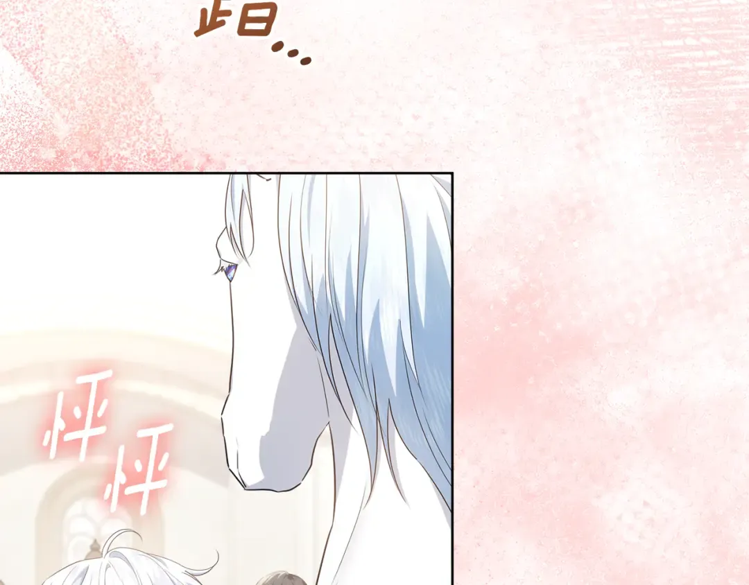 第456页