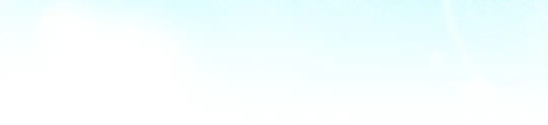 第381页