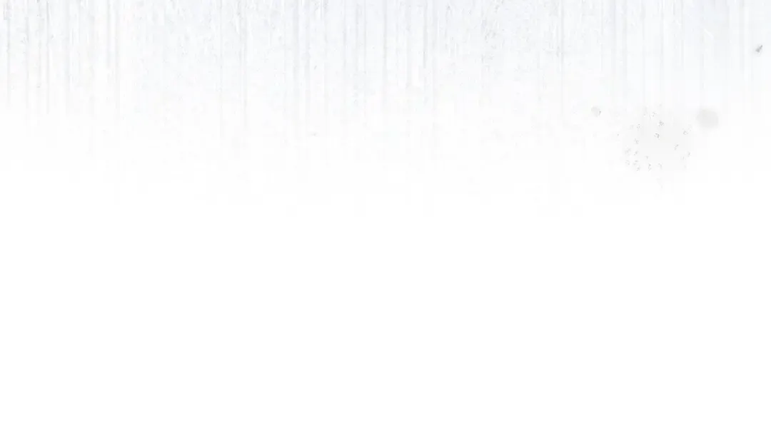 第258页