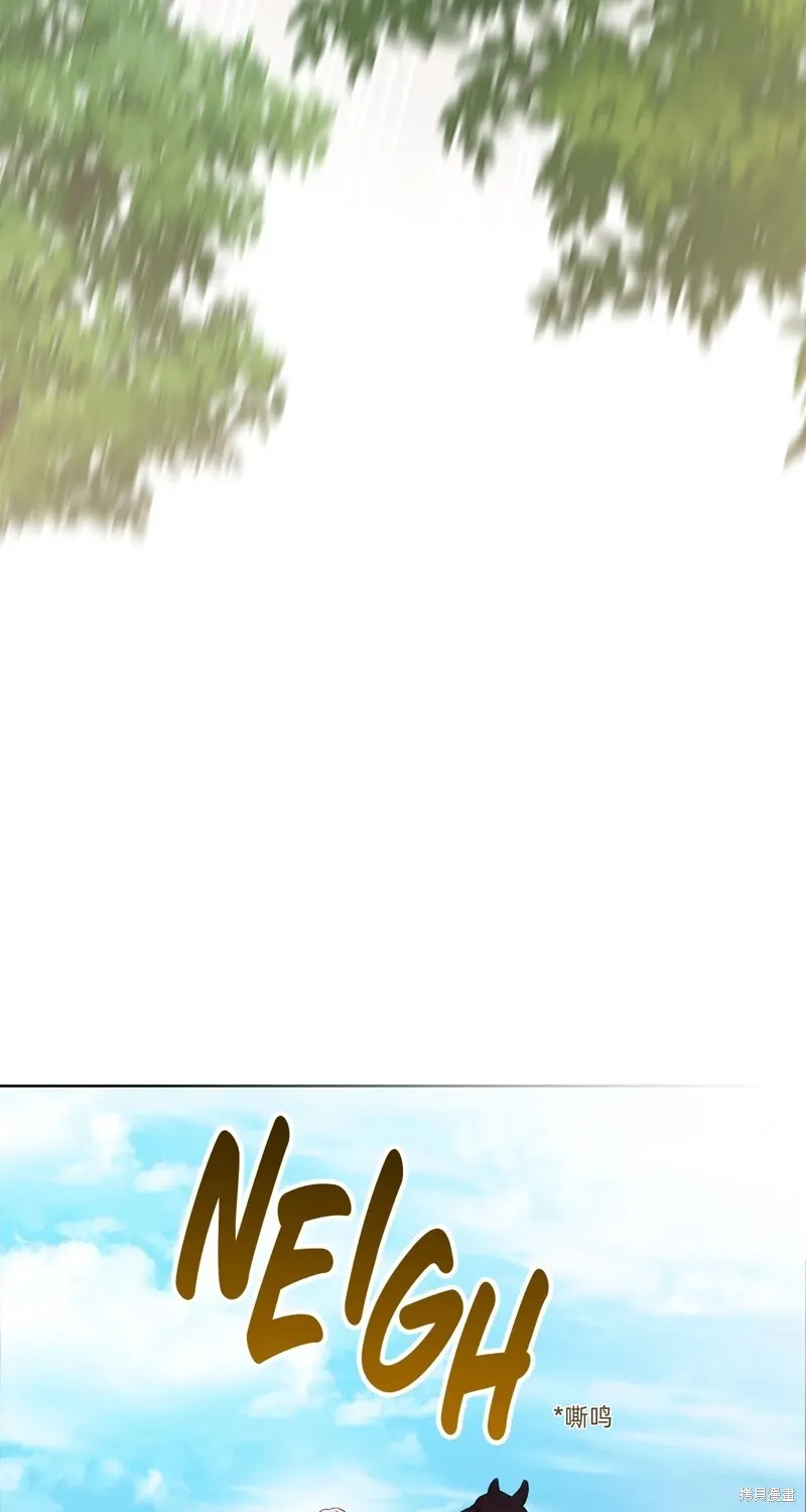 第291页