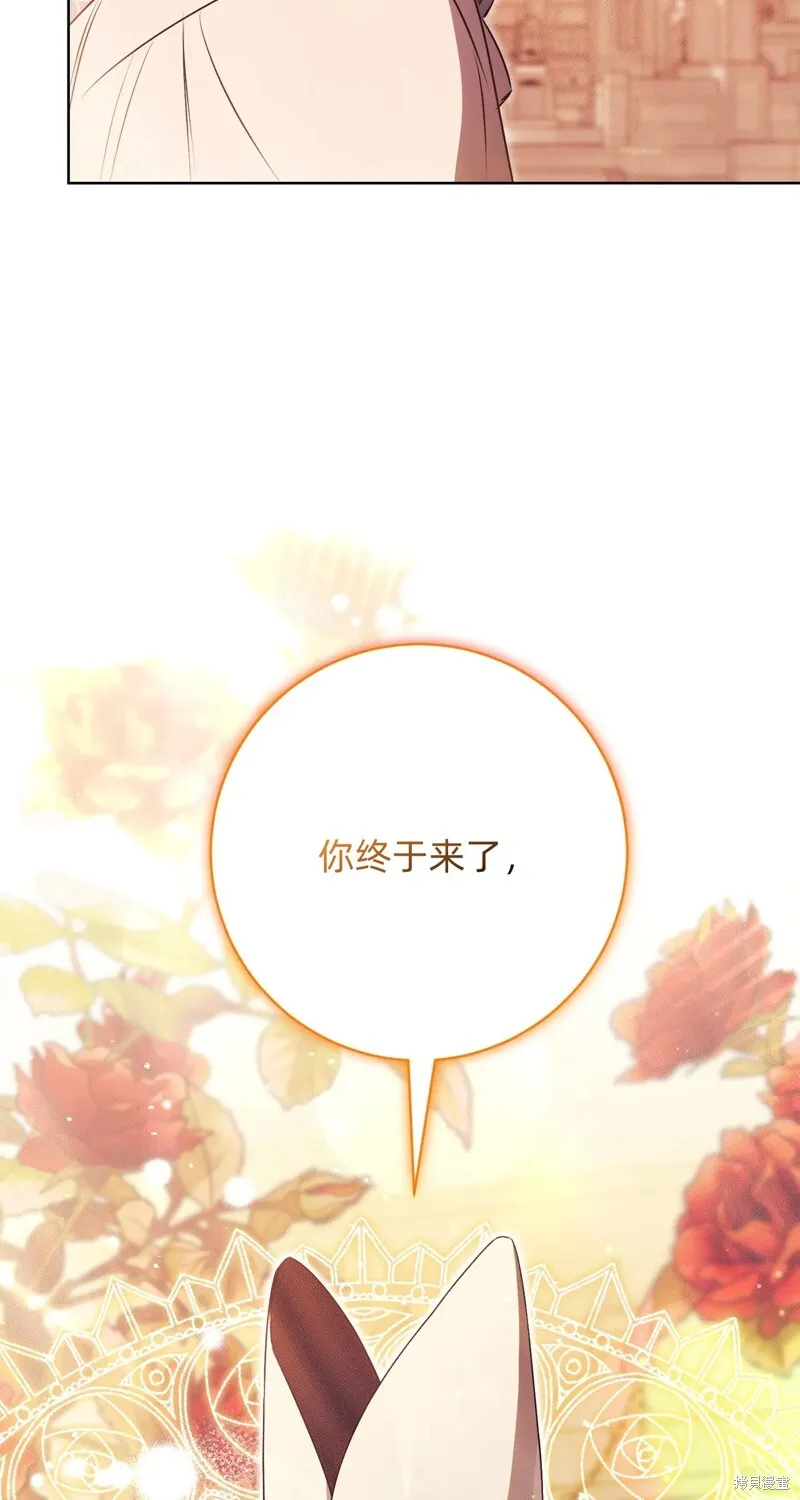 第306页