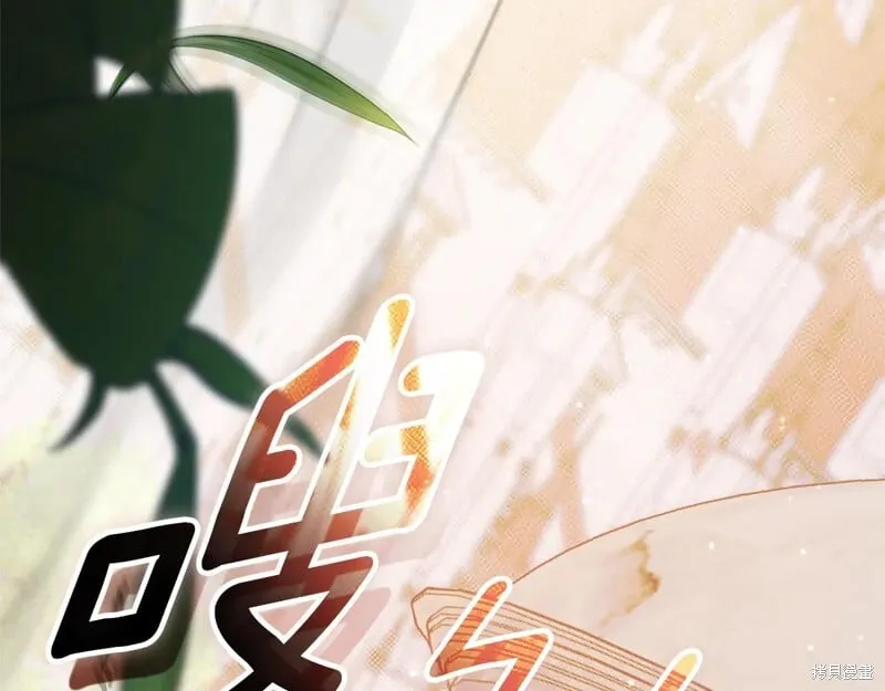 第216页