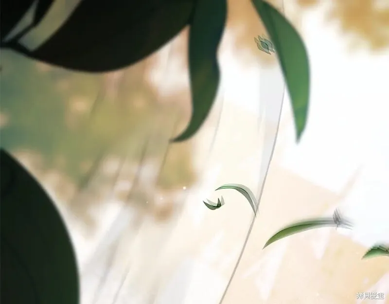 第213页