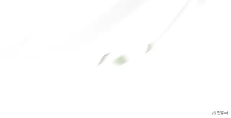 第237页