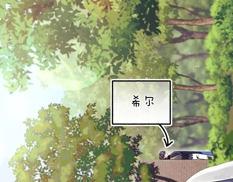 第219页