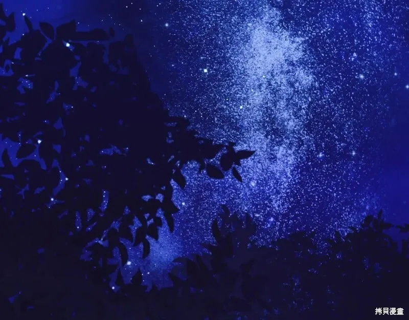 第213页