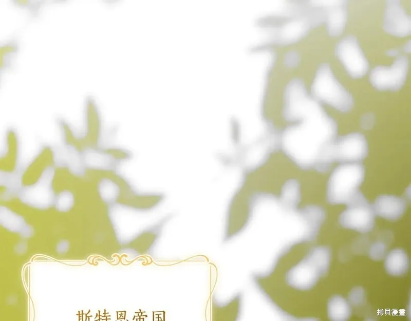 第906页