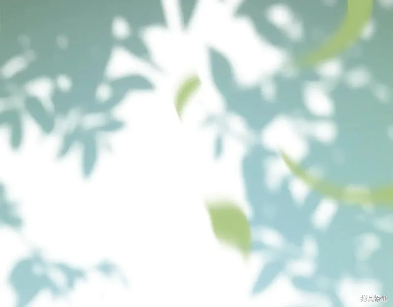 第234页