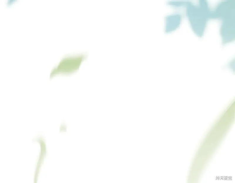 第237页