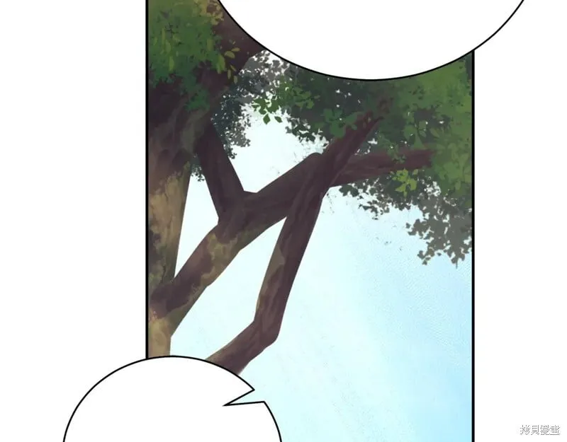 第423页