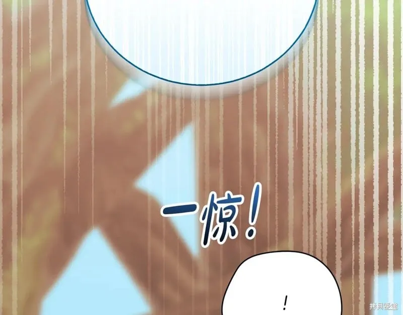 第321页