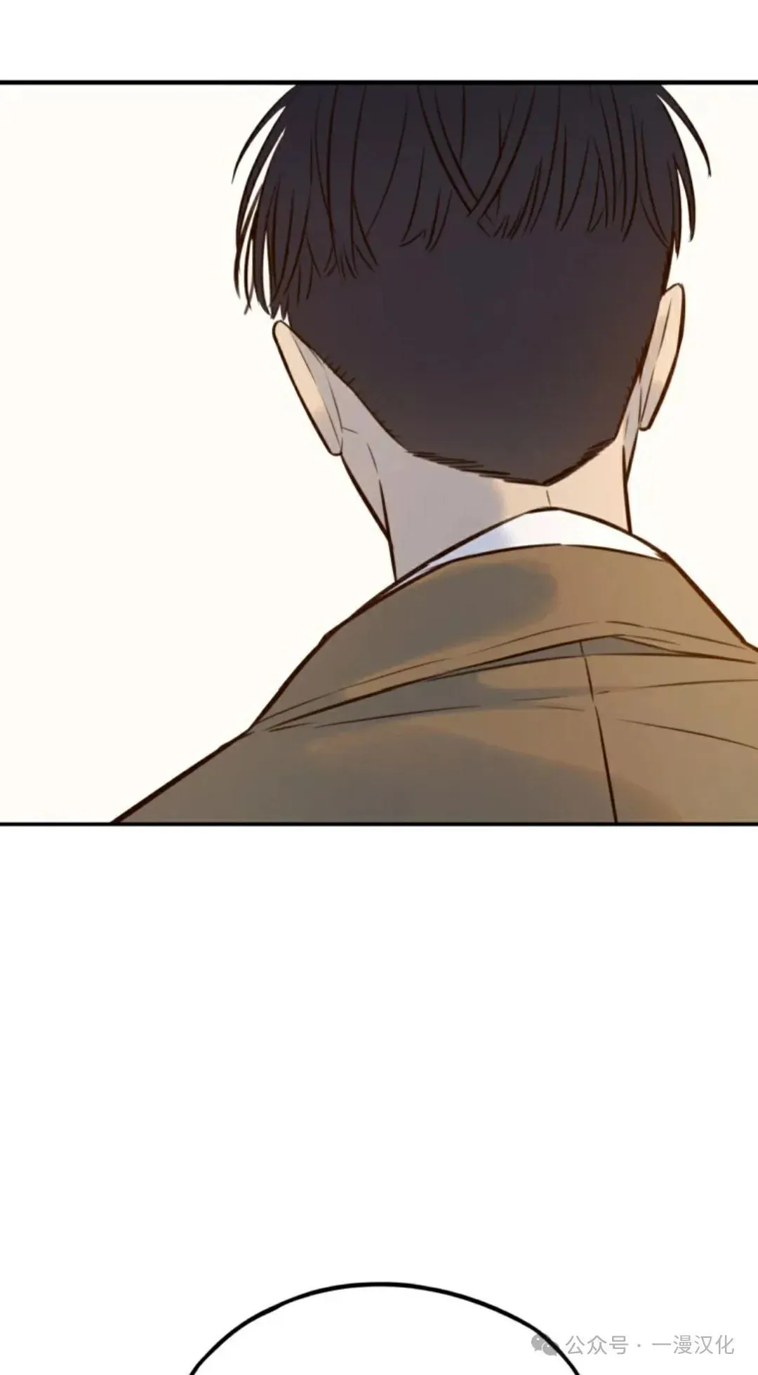 第333页