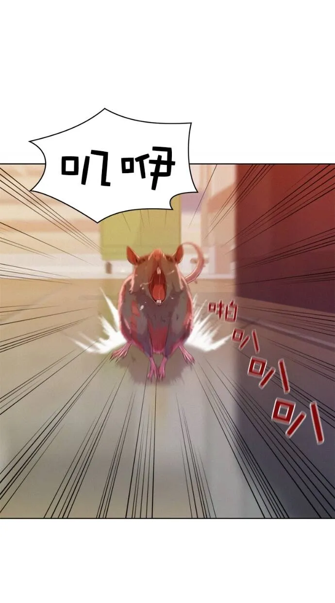 第261页