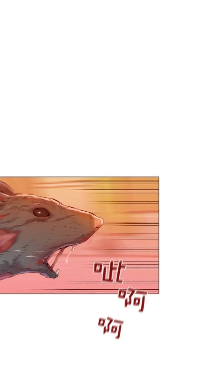第267页