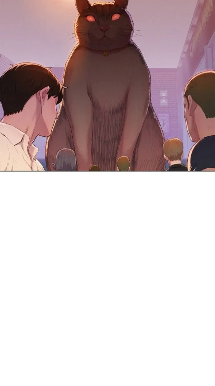 第261页