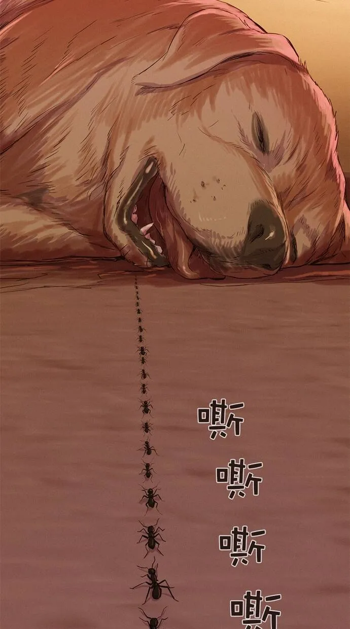 第183页
