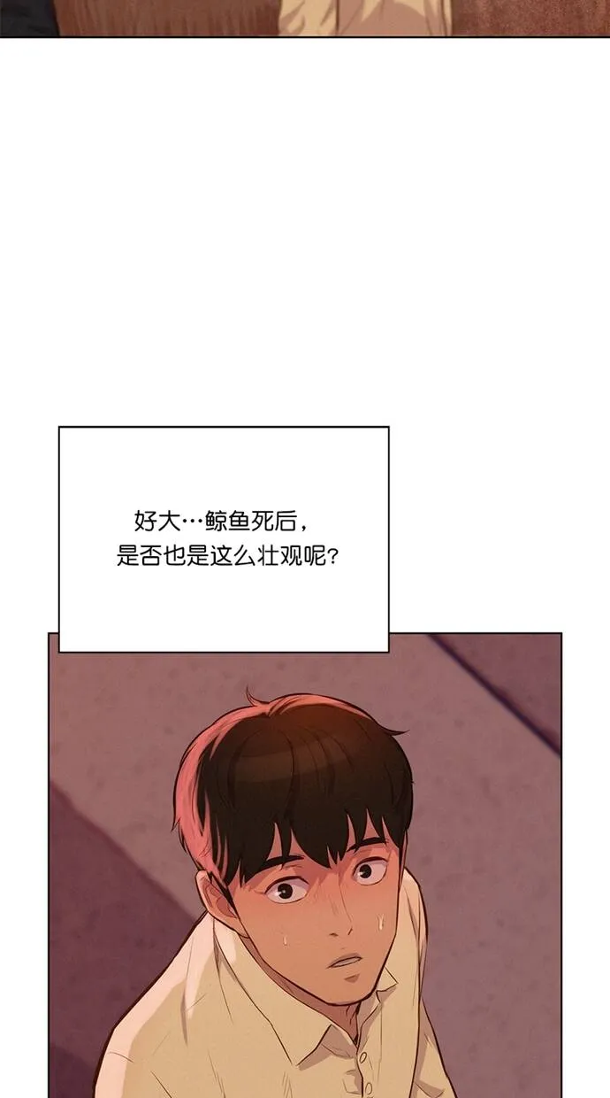 第210页