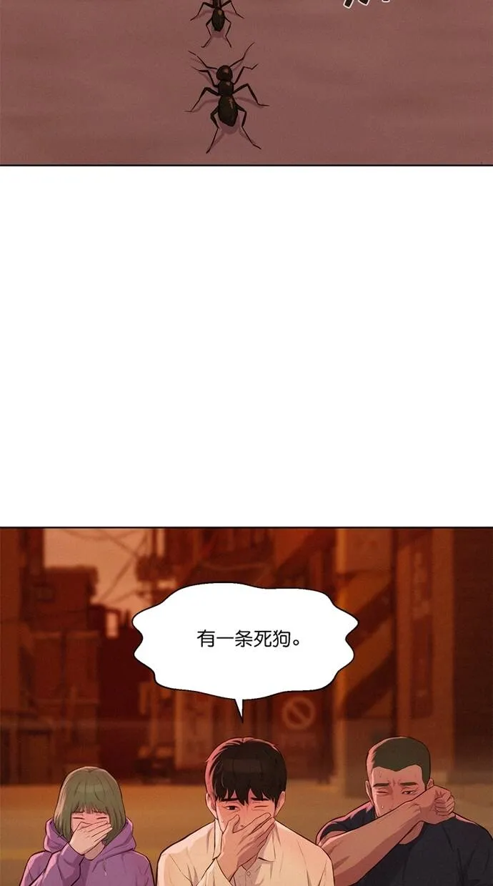 第186页