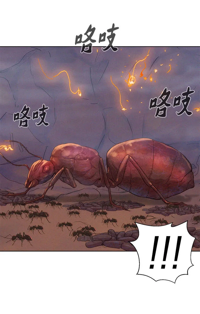第231页
