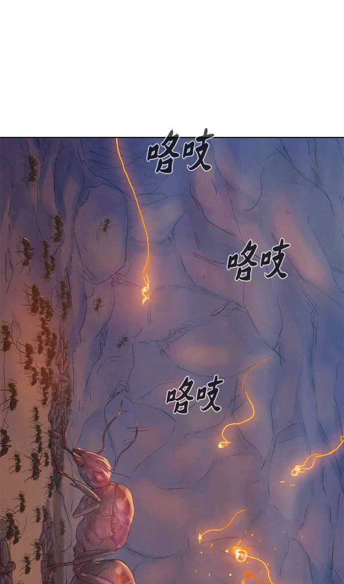 第234页