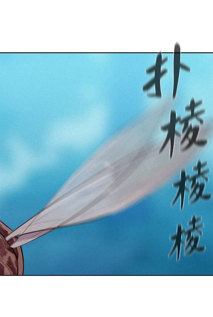 第216页