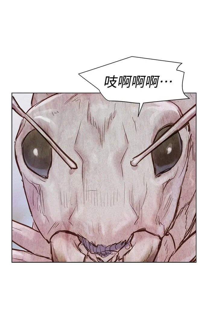 第234页