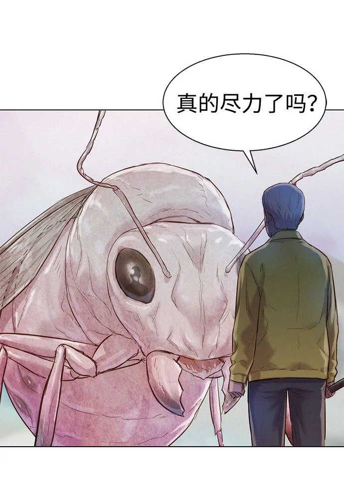 第246页