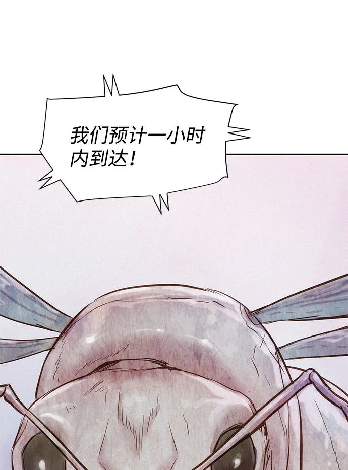 第216页