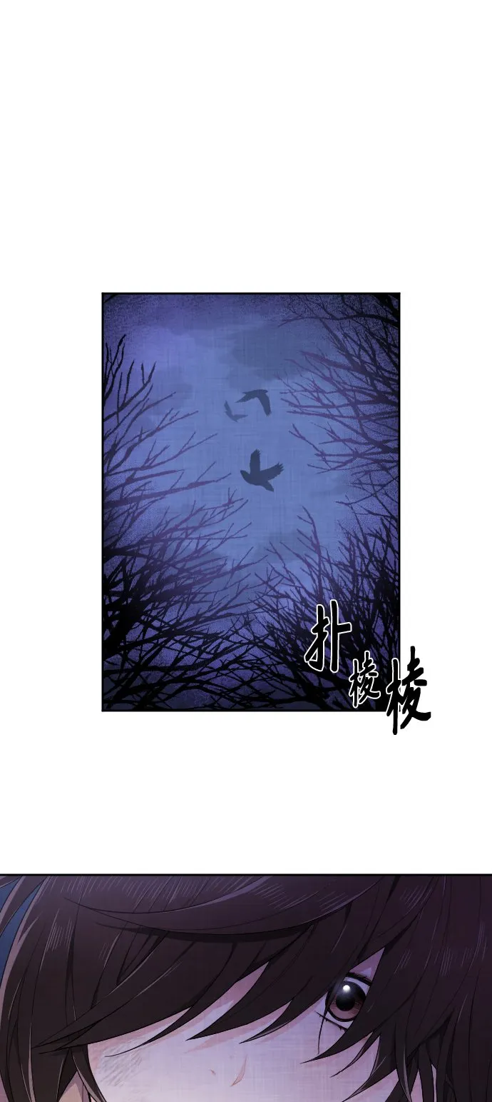 第222页