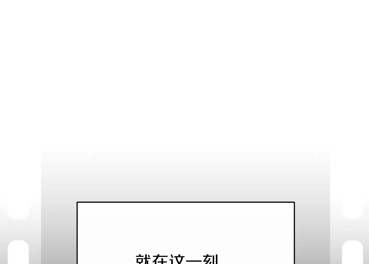 第486页