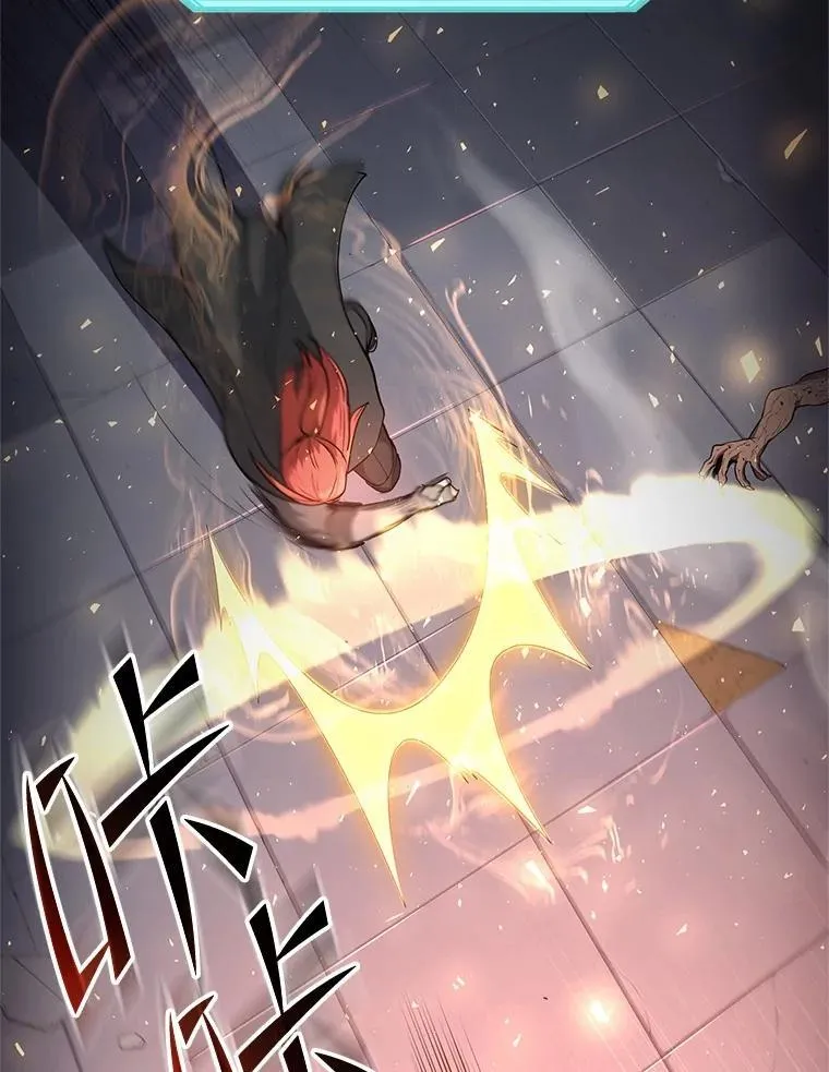 第204页