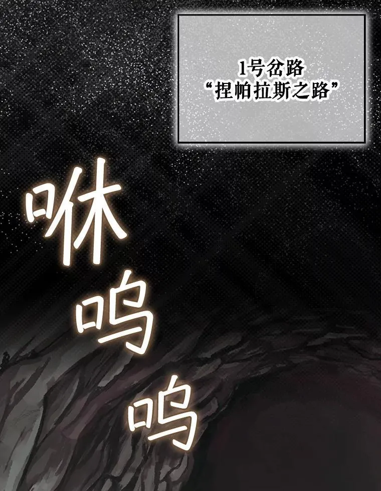 第339页