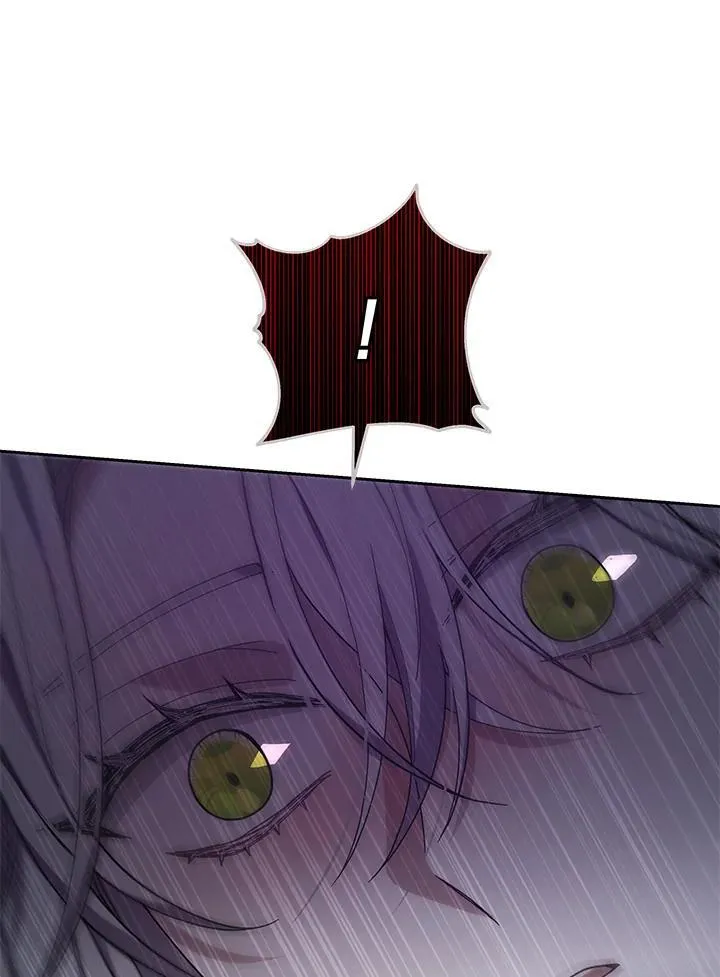 第246页