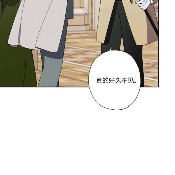第243页