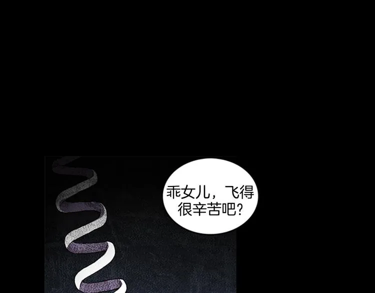 第243页