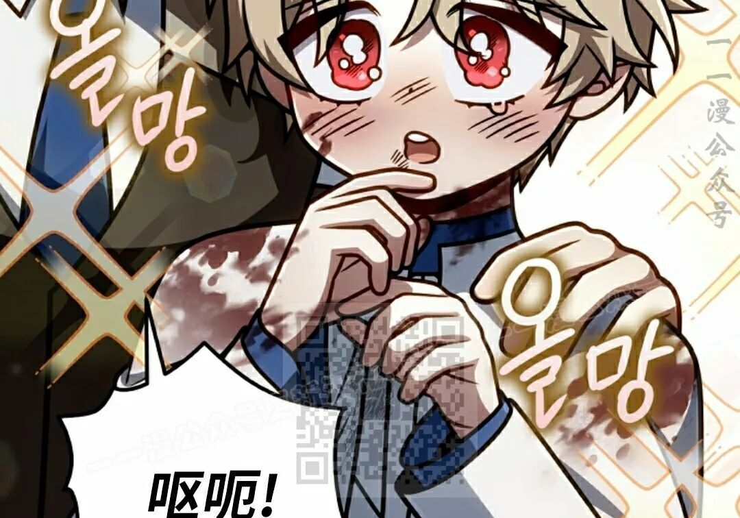 第255页