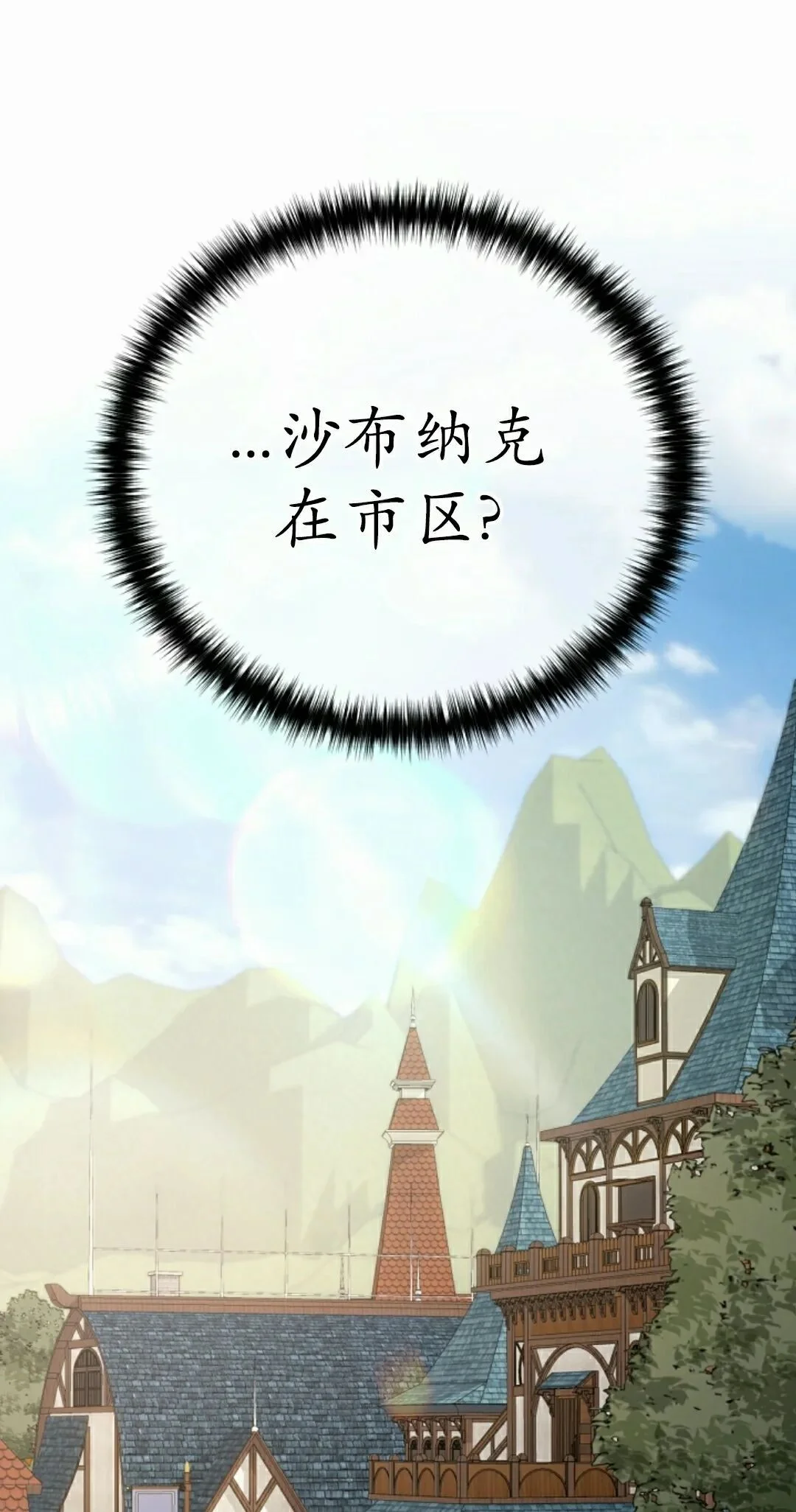 第213页