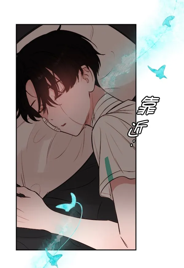 第339页