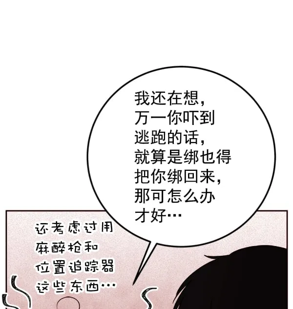 第207页
