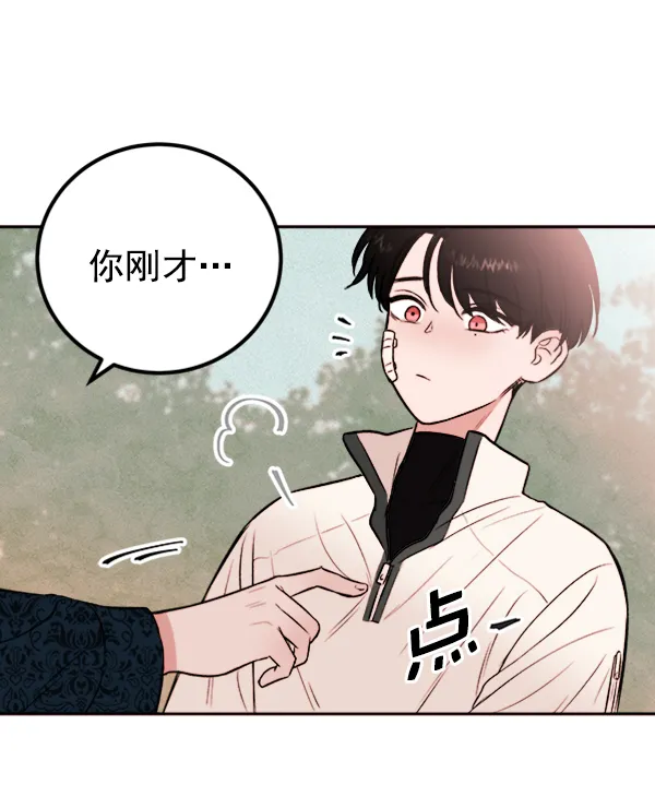 第204页
