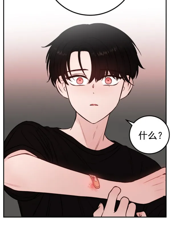 第255页