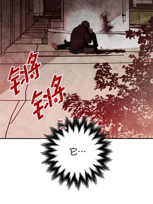 第231页