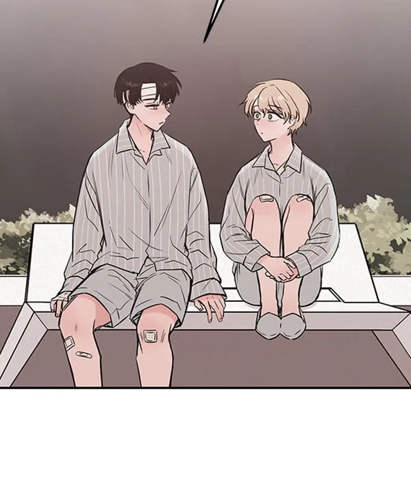 第411页