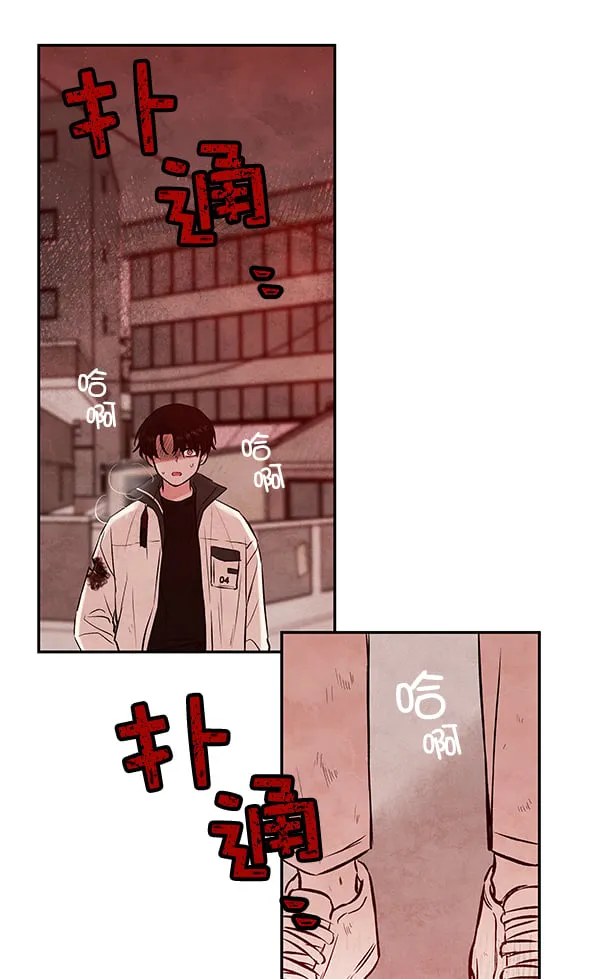 第240页