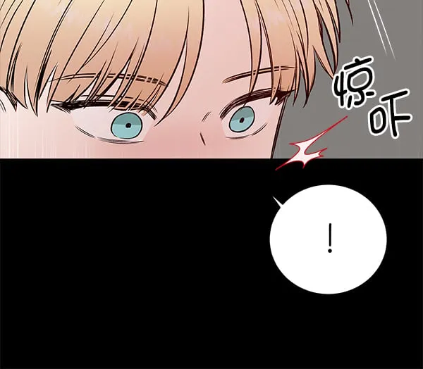 第231页